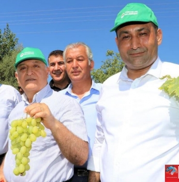 e1add0a5-8a4e-4af2-b856-7e5d814f1d7d