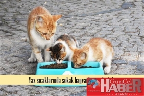 limak_enerji_2_600_x_400