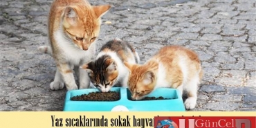 limak_enerji_2_600_x_400