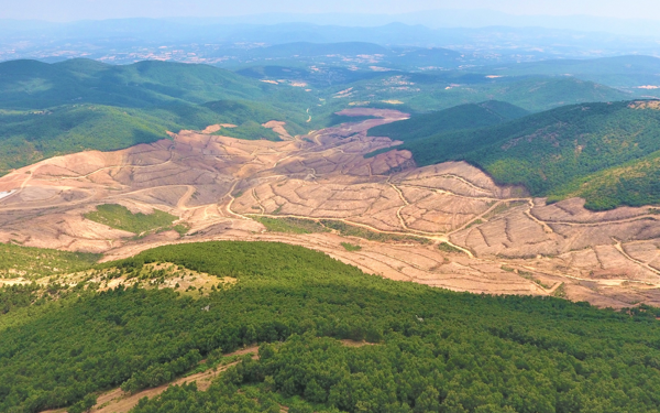 kaz-dagları