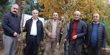 batman-tarim-il-mudurlugu