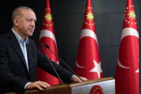 erdogann