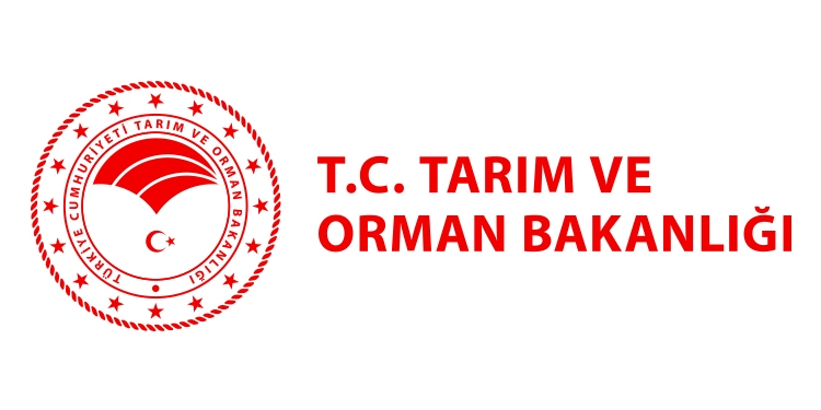 Tarım ve Orman Bakanlığı: “Bu yıl orman yangınlarında 6 bin 900 hektar alan zarar gördü”
