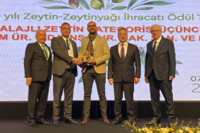 zeytin
