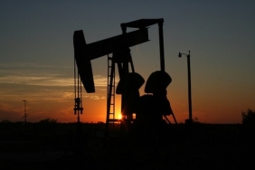 petrol_600_x_400