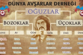 avsarlar