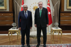 erdogan_malezya