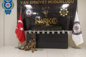 van_narkotik