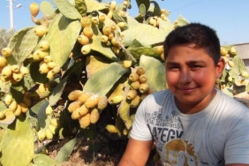 mersin_silifke_dikenli_incir_erhan_arslan