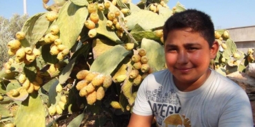 mersin_silifke_dikenli_incir_erhan_arslan