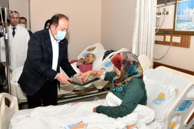 vali_ali_hamza_pehlivan