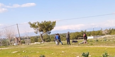 7dce41f8-46a9-4167-a586-5444a6a758a2