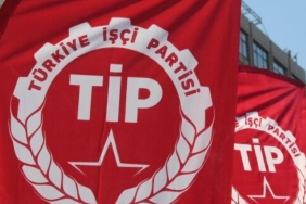 tip