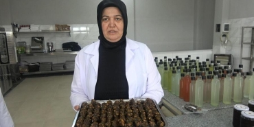 girisimci_kadinlar_kivi_sogutucu_uretti