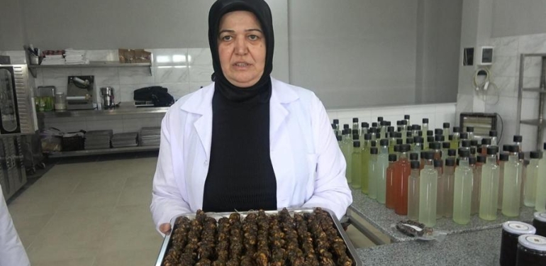 Girişimci kadınlar kivi sucuğu üretti