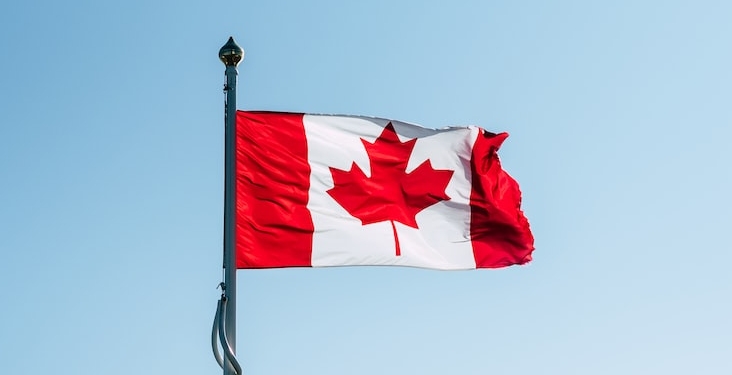 Kanada’da orman yangınları devam ediyor