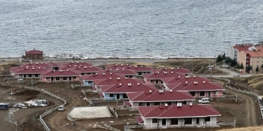 17022825272082055624