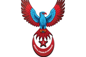 Firefly An eagle perched with its wings open, facing the right diagonally, in blue-turquoise tones,_