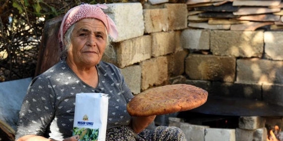 GIDAYA POLİTİKA REHBERİ…