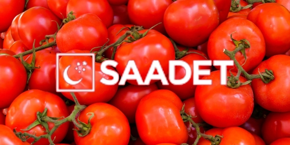 Saadet Partisi’nde Skandal İstifa