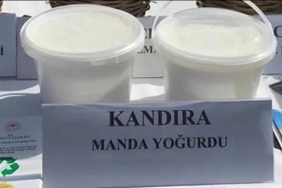yogurt