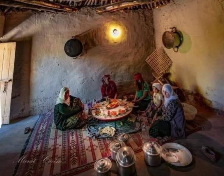 Tüteklikli Ev ~ Kırlangıç Örtü
