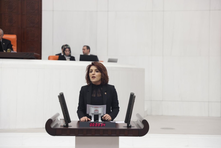 KIŞ“GÖSTERMELİK ARTIŞ EMEKLİNİN DERDİNE DERMAN OLMADI”