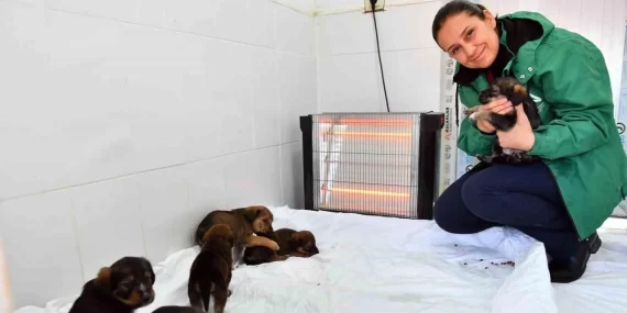Mersin’de patili dostlar güvende