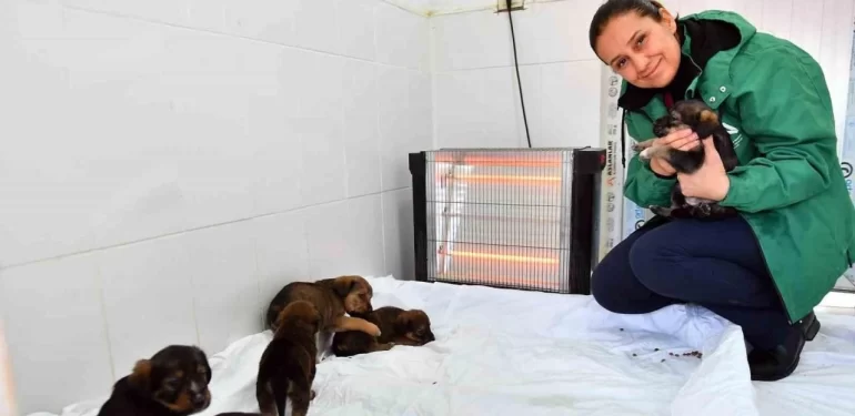 Mersin’de patili dostlar güvende