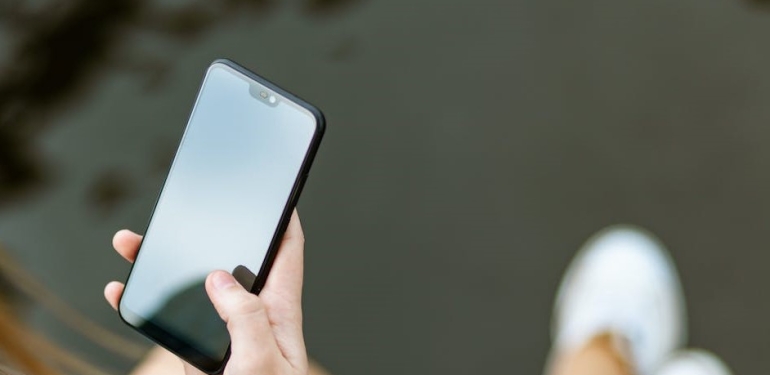 pexels-george-dolgikh-1310532