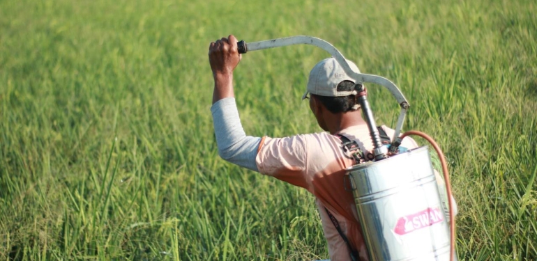 Siyanürlü tarım olmaz!