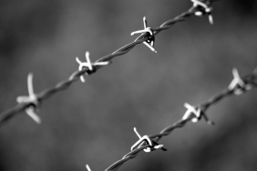 pexels-daniel-abbatt-583347