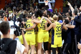 17131233711398756221