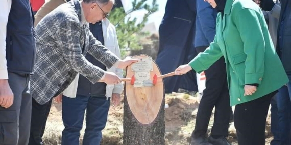 Kayseri’de 271 Bin 500 Fidan Toprakla Buluştu: Doğaya Nefes Olacak Dev Ağaçlandırma Projesi
