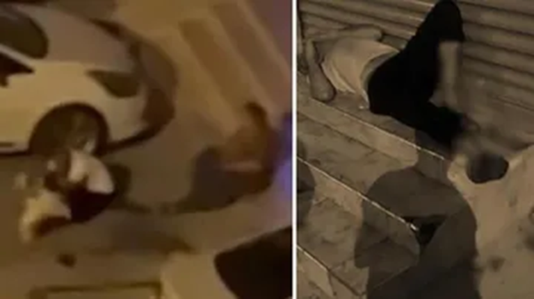 Adana’da Evden Kaçan Pitbull, Sahibi ve Ailesine Saldırdı…