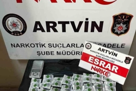 1714506556607012788