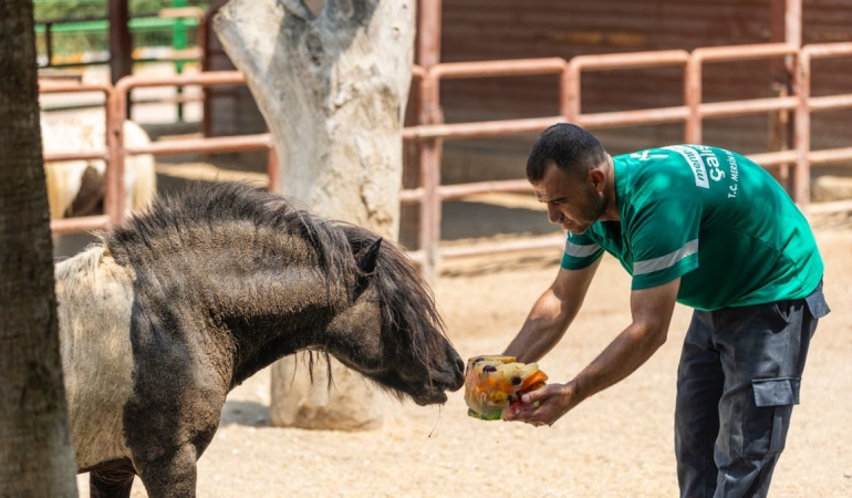 TARSUS DOĞA PARKI’NDA SICAKLARA BUZ GİBİ BİR MOLA