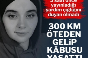 17248394412049549358