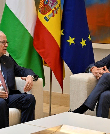 17323029781090978066