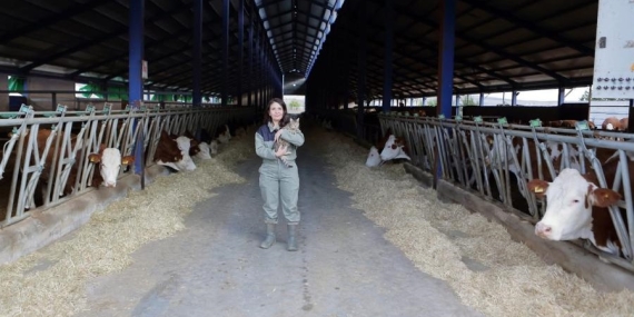 Kadın Girişimci Nilgün Kantar, 250 Baş Hayvanla Süt Üretiyor