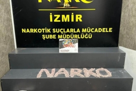 1732653738842521175