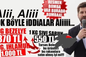 17328215981411592959