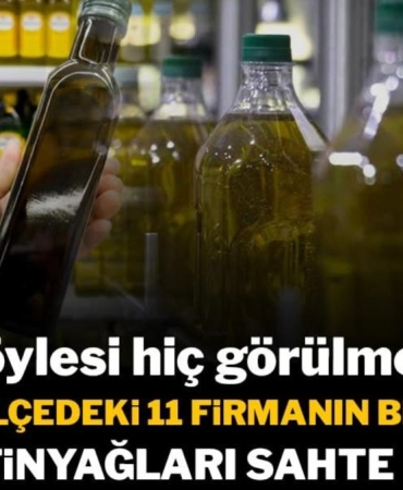 17335189731959876550