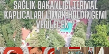 1733603514340796572