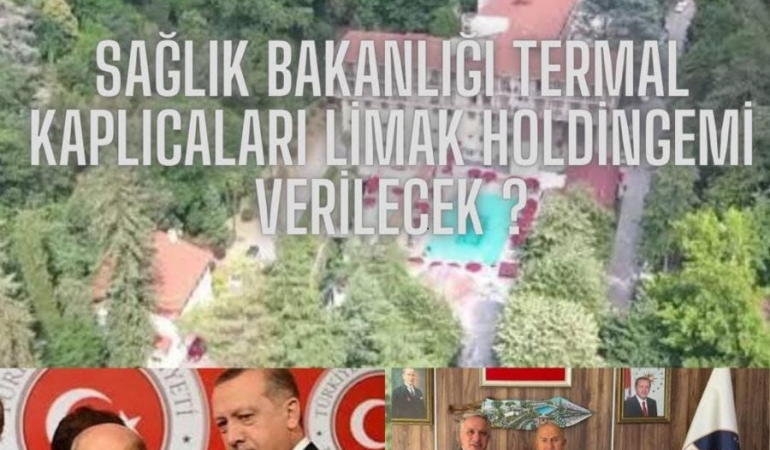 1733603514340796572