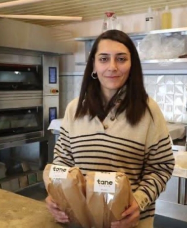 17336844241104202369