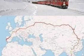 17339454011565472556