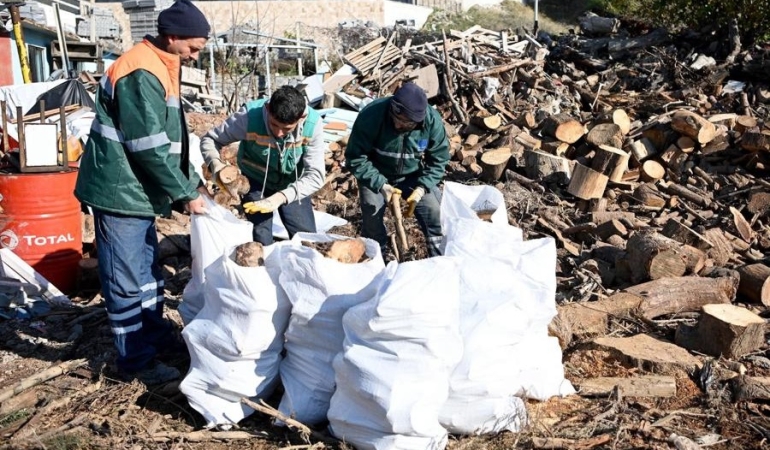 17342081731106283631