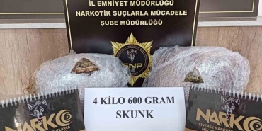 17342086331736936798