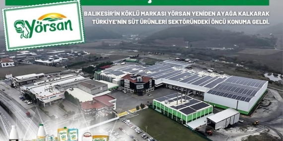 Yörsan’ın Küresel Pazara Girişi: İhracatla Güçlenen Yükseliş